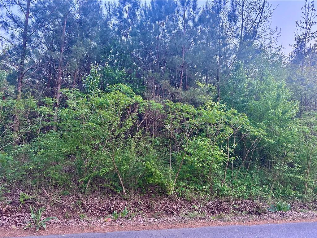 113 Old Alabama Wagon Road Southwest Taylorsville, GA 30178 - Photo 4 of 5