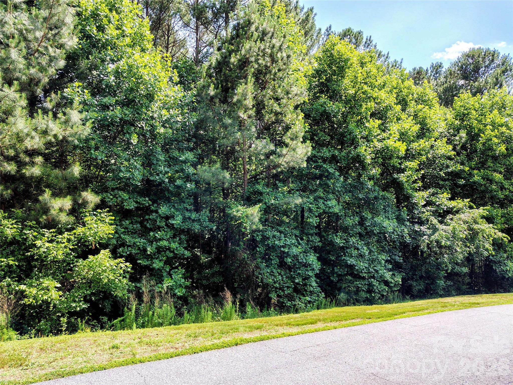 210 Harbor Ridge Drive Connelly Springs, NC 28612 - Photo 6 of 15