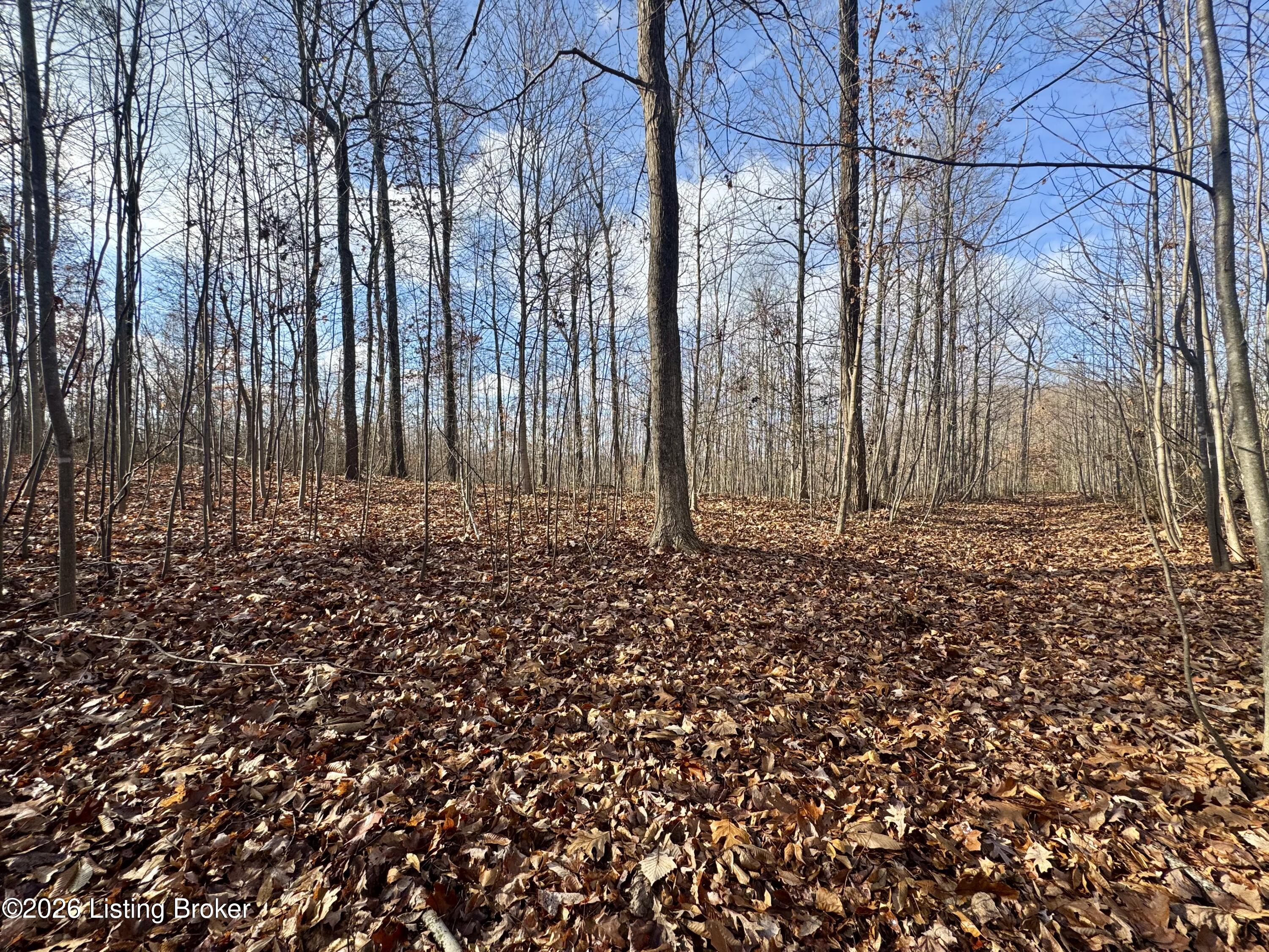 9-10 Winding Hollow Road Lebanon Junction, KY 40150 - Photo 42 of 43 PhotoNov302025,104955AM