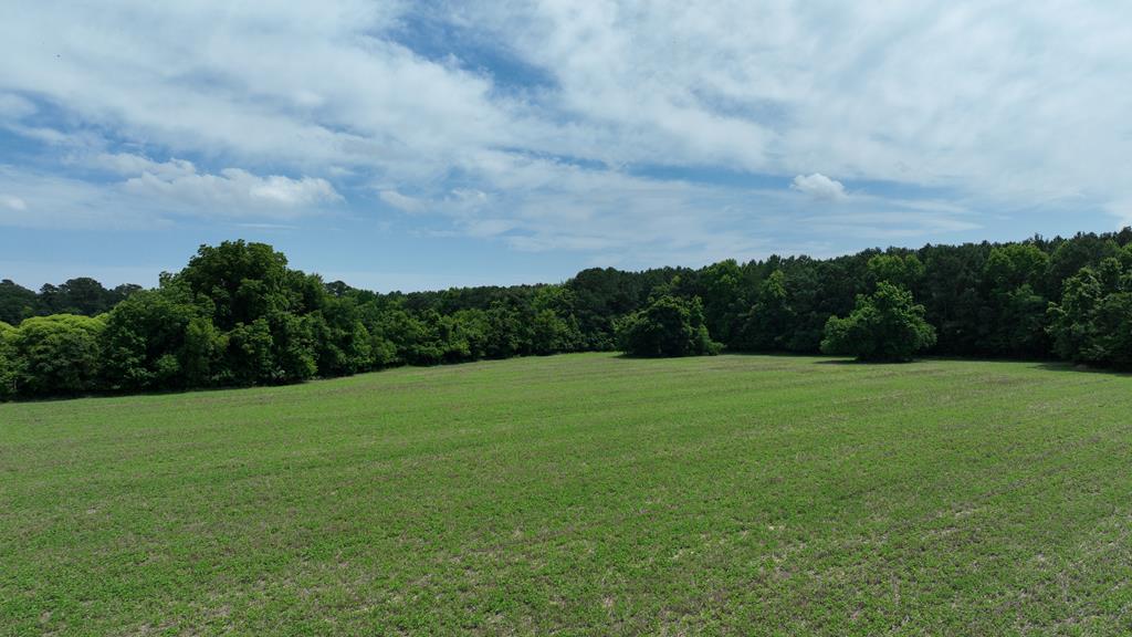 0 Cedar View Road Painter, VA 23420 - Photo 70 of 72