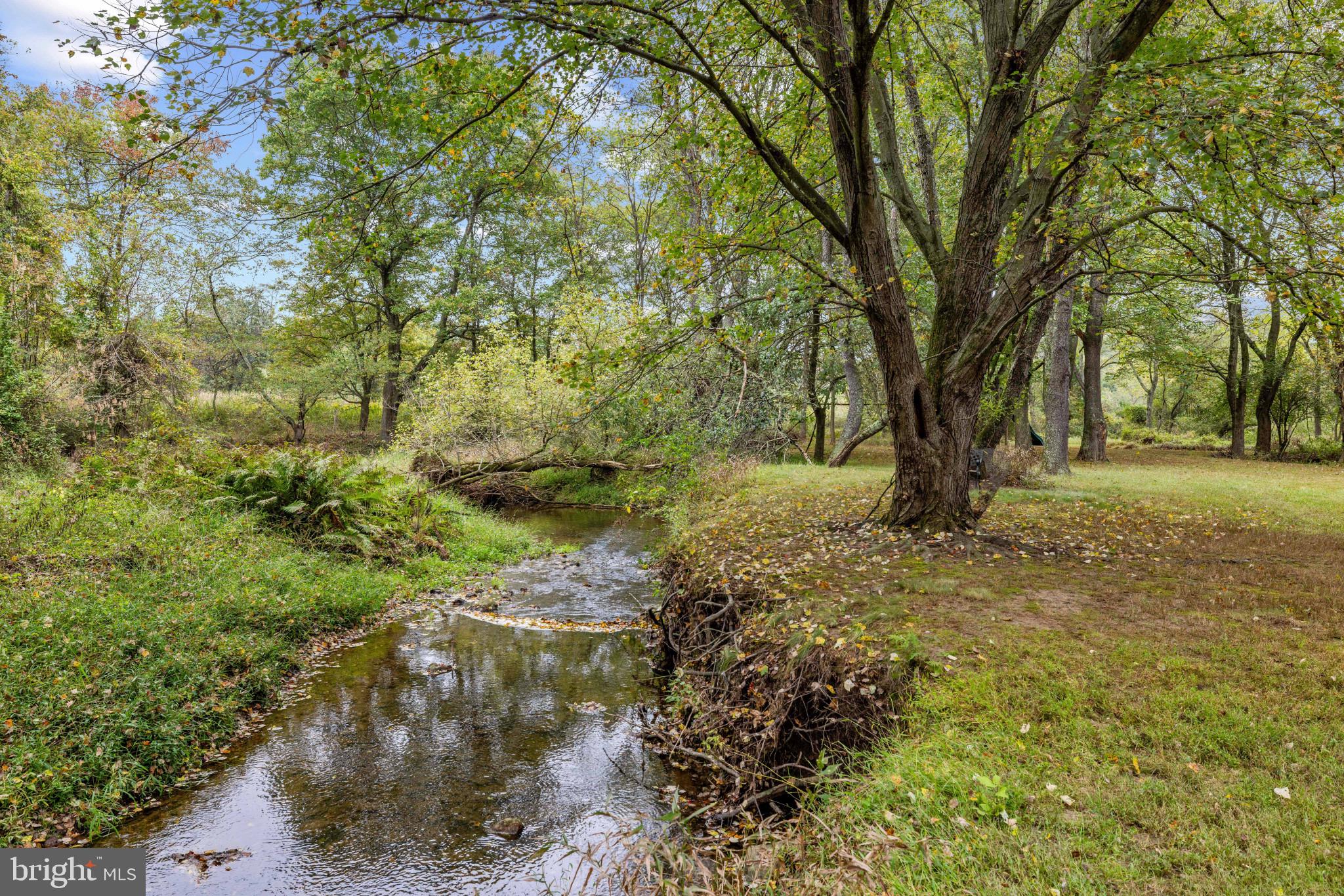 2675 Pfefferkorn Road West Friendship, MD 21794 - Photo 54 of 65 Stream