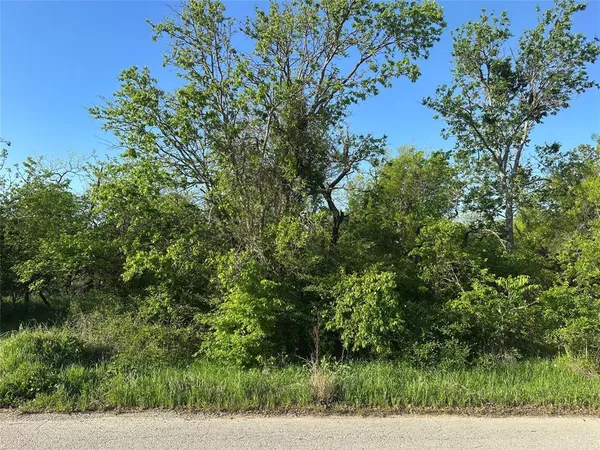 $7,500 | Tbd Lot A Tbd, Ranger, TX 76470