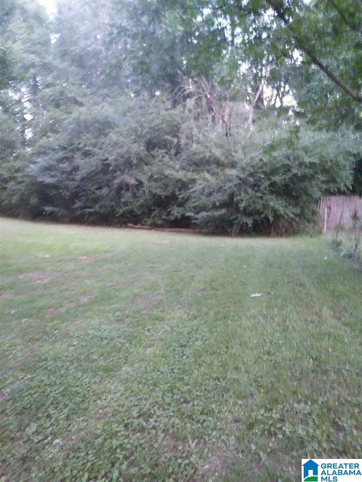 6670 Warrior River Road Bessemer, AL 35023 - Photo 26 of 26
