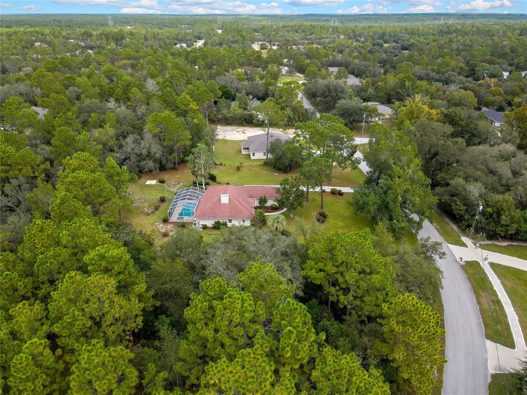 3275 West Daffodil Drive Dunnellon, FL 34433 - Photo 11 of 67 an aerial view of residential houses with outdoor space and trees