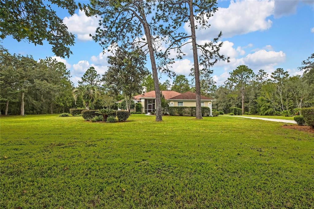 3275 West Daffodil Drive Dunnellon, FL 34433 - Photo 3 of 67 a view of a house with a big yard