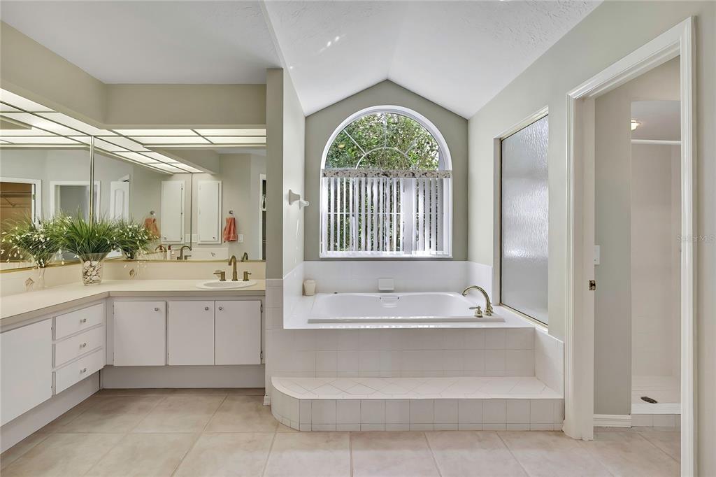 3275 West Daffodil Drive Dunnellon, FL 34433 - Photo 32 of 67 a spacious en suite bathroom with a tub double vanity windows and a sink