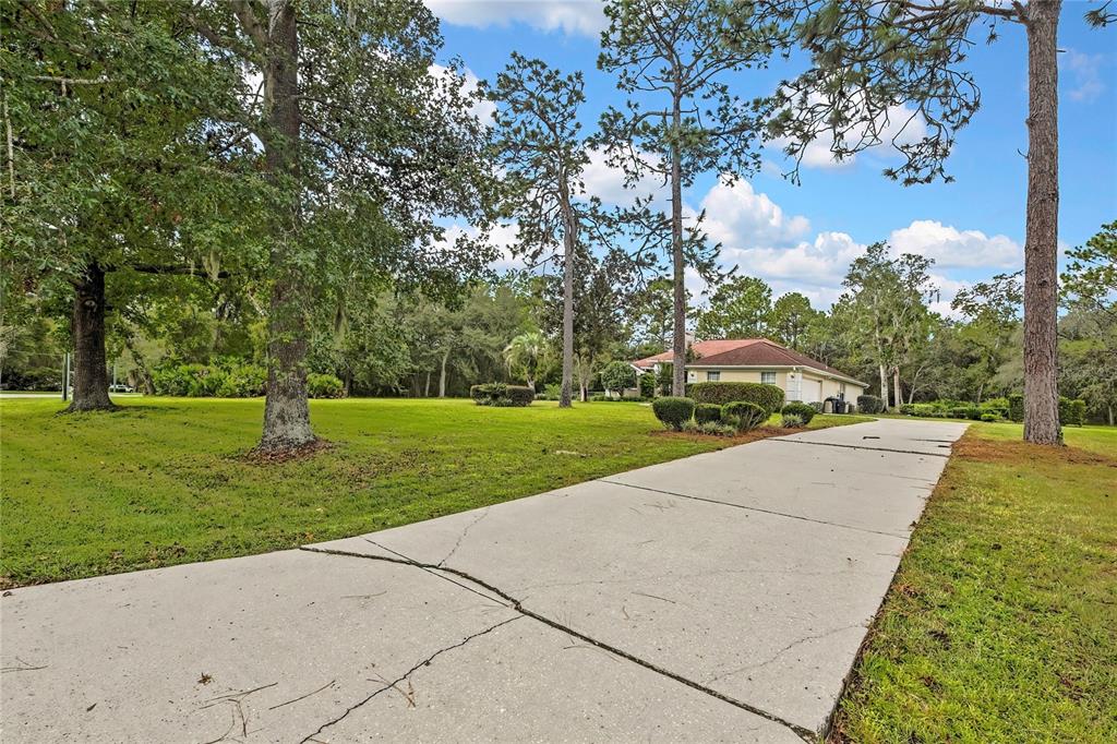 3275 West Daffodil Drive Dunnellon, FL 34433 - Photo 4 of 67 a view of a park with large trees