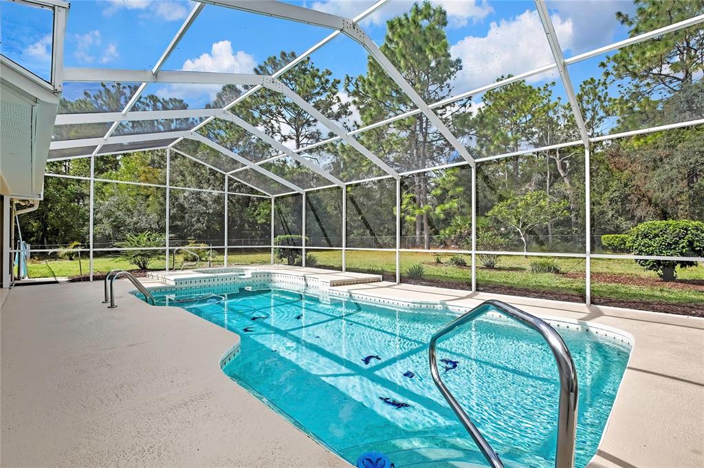 3275 West Daffodil Drive Dunnellon, FL 34433 - Photo 45 of 67 a view of a backyard with swimming pool