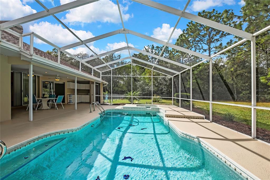 3275 West Daffodil Drive Dunnellon, FL 34433 - Photo 50 of 67 a view of swimming pool with yard