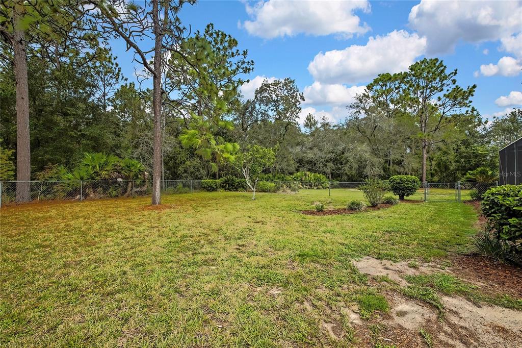 3275 West Daffodil Drive Dunnellon, FL 34433 - Photo 54 of 67 a view of a garden with basketball court