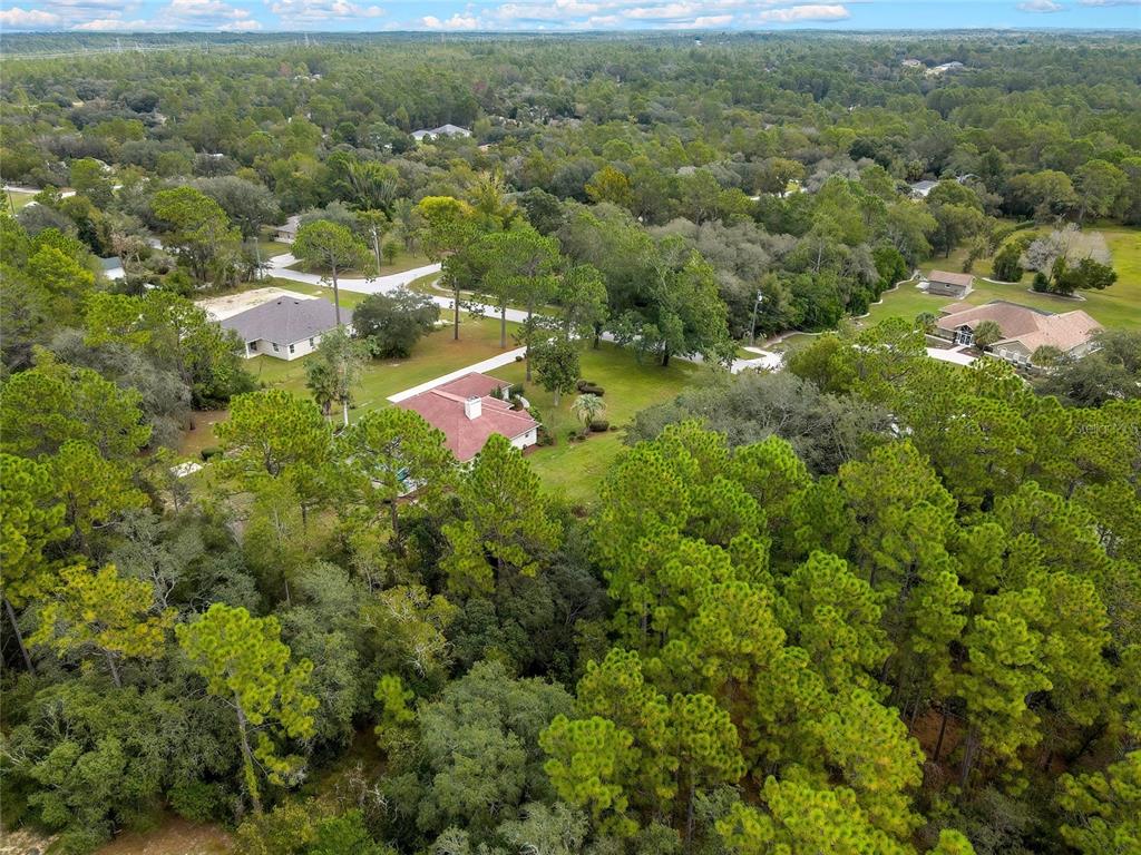 3275 West Daffodil Drive Dunnellon, FL 34433 - Photo 55 of 67 a view of a city with lush green forest