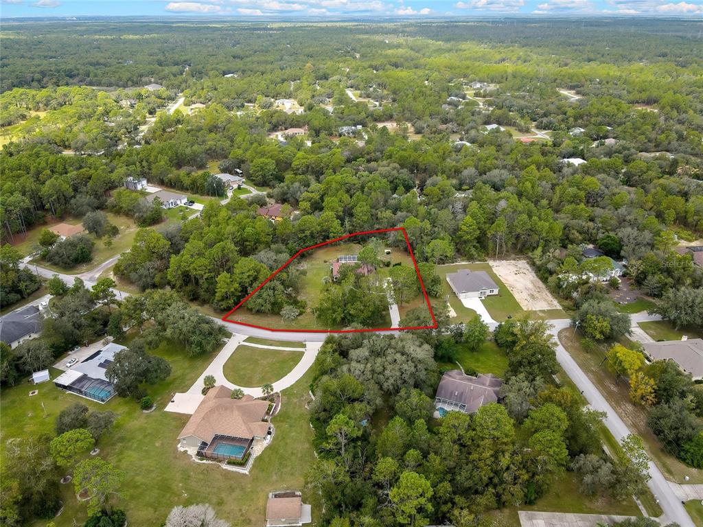 3275 West Daffodil Drive Dunnellon, FL 34433 - Photo 56 of 67 an aerial view of residential houses with outdoor space and trees