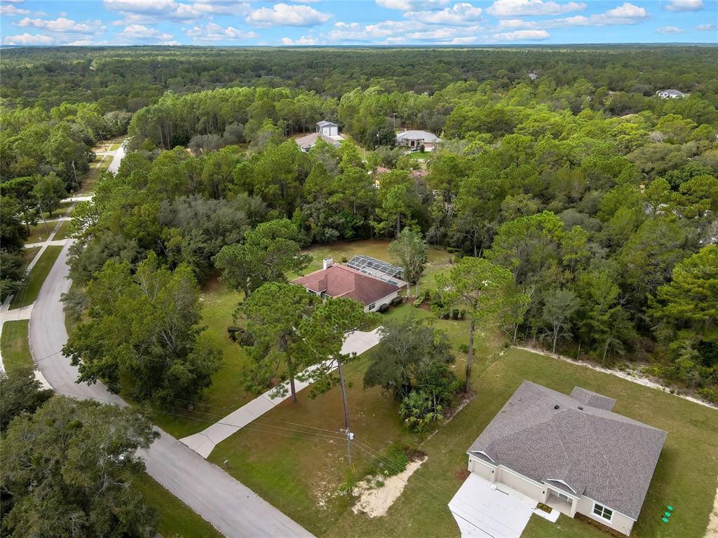 3275 West Daffodil Drive Dunnellon, FL 34433 - Photo 57 of 67 an aerial view of residential houses with outdoor space and trees