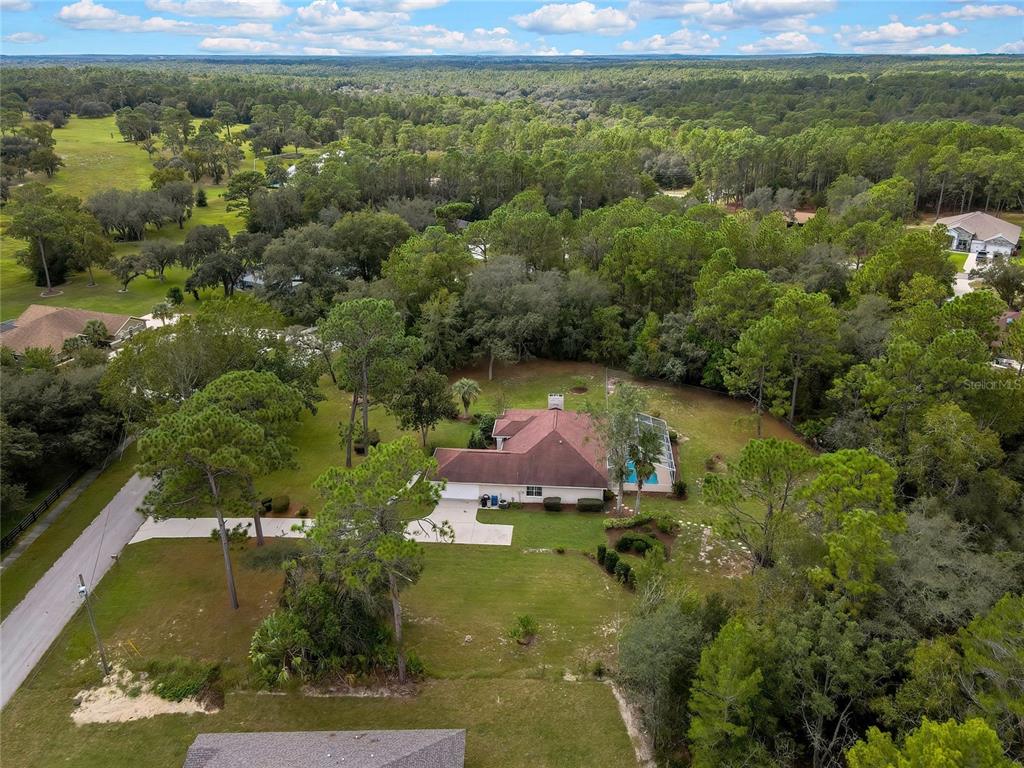3275 West Daffodil Drive Dunnellon, FL 34433 - Photo 59 of 67 a view of a lake with a yard