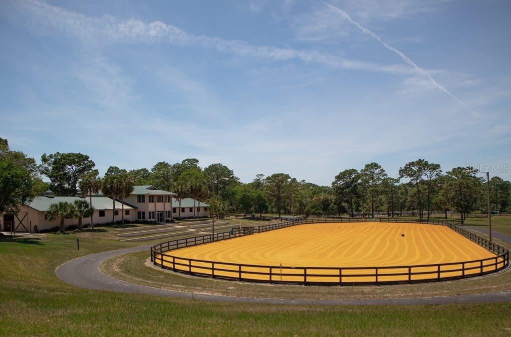 3275 West Daffodil Drive Dunnellon, FL 34433 - Photo 61 of 67 a view of a swimming pool