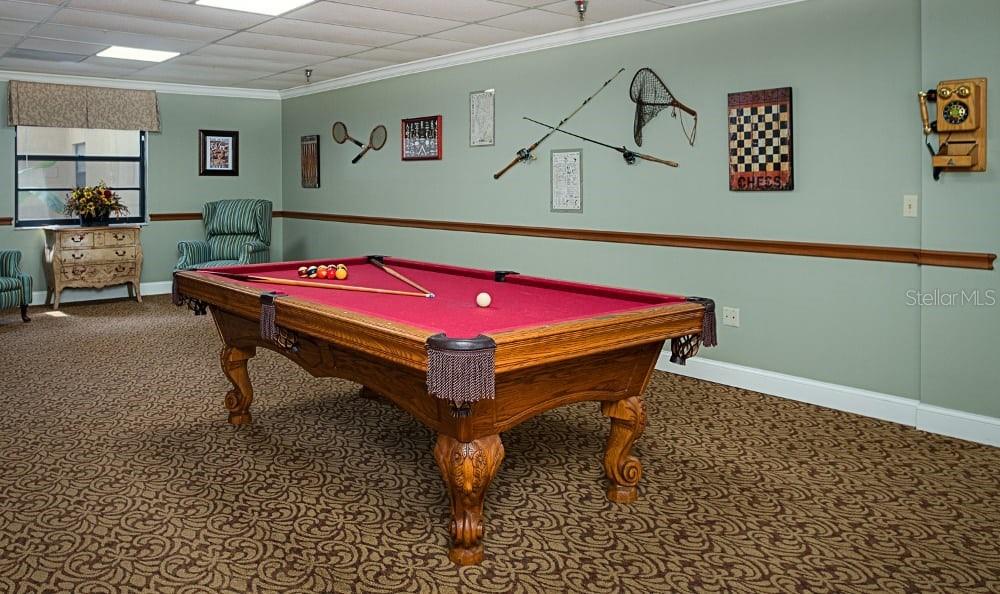 3275 West Daffodil Drive Dunnellon, FL 34433 - Photo 67 of 67 a room with pool table and wall paintings