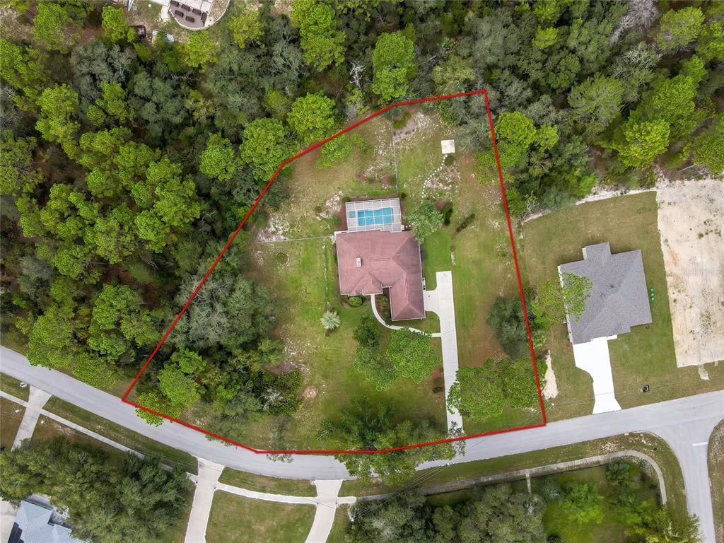 3275 West Daffodil Drive Dunnellon, FL 34433 - Photo 8 of 67