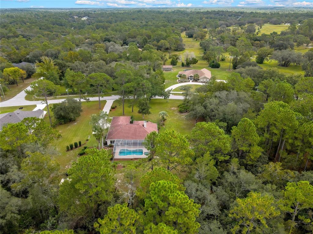 3275 West Daffodil Drive Dunnellon, FL 34433 - Photo 9 of 67 an aerial view of residential houses with outdoor space and trees