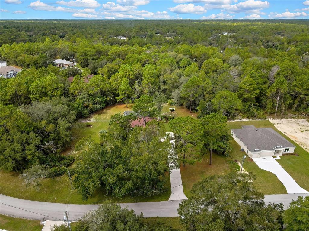 3275 West Daffodil Drive Dunnellon, FL 34433 - Photo 10 of 67