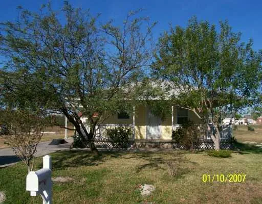 a view of a yard with plants and trees