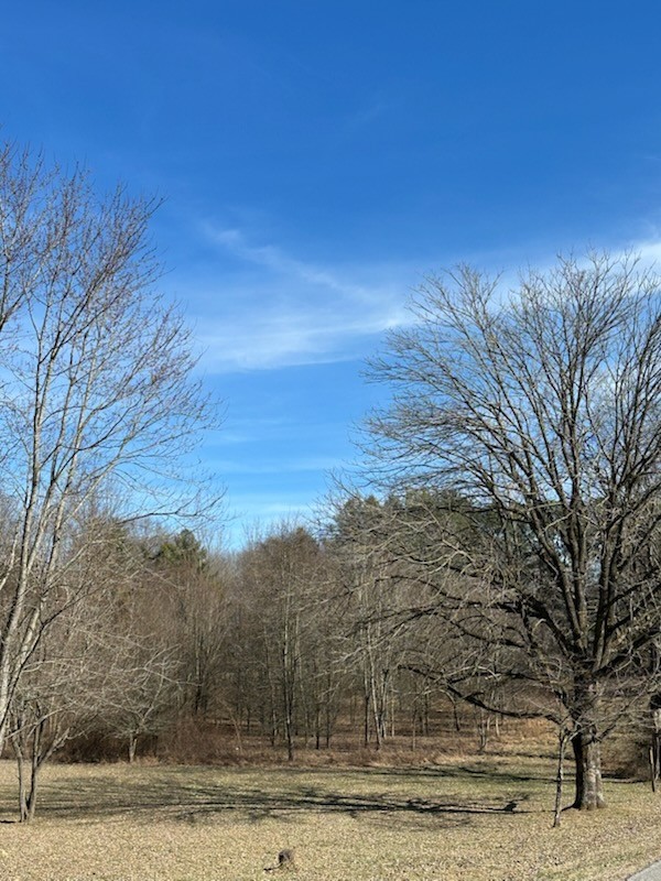 0 Raymond Hodges Road Cottontown, TN 37048 - Photo 1 of 2