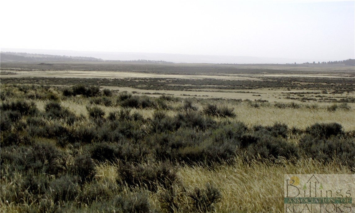 Nhn Lindstrom Road Shepherd, MT 59079 - Photo 23 of 36 Gallery Image 23