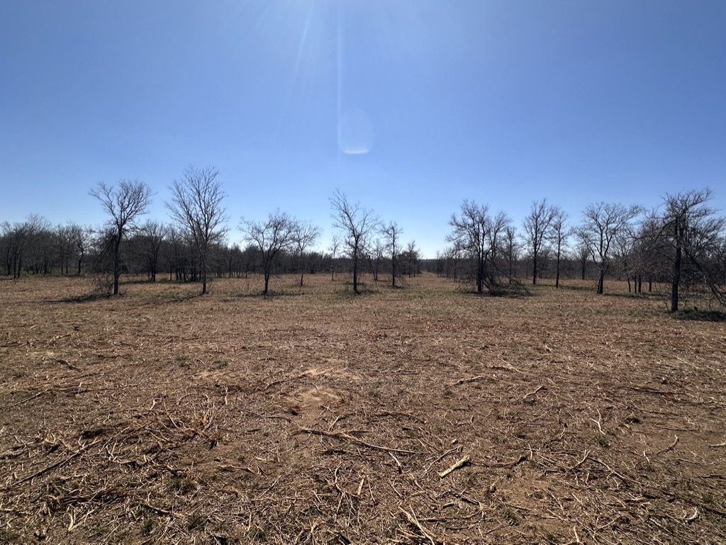 18101 Littig Road Manor, TX 78653 - Photo 22 of 35 Gallery Image 22