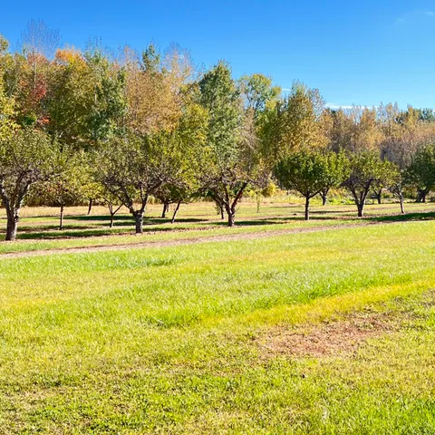 $299,700 | 3025 Lakeshore Drive, Harrisville, MI 48740