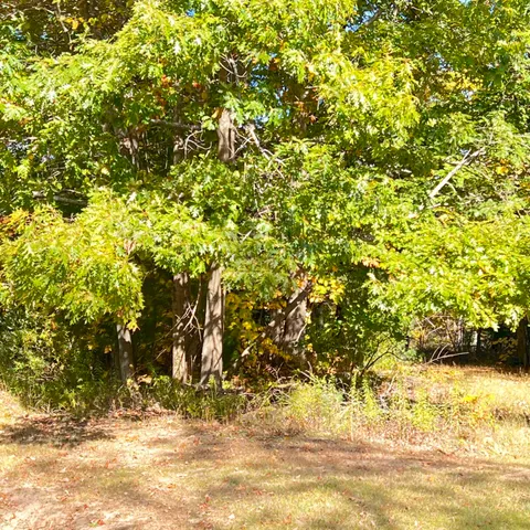 $299,700 | 3025 Lakeshore Drive, Harrisville, MI 48740