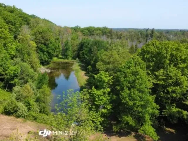 $299,700 | 3025 Lakeshore Drive, Harrisville, MI 48740