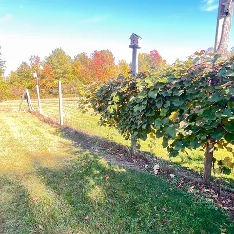 $299,700 | 3025 Lakeshore Drive, Harrisville, MI 48740