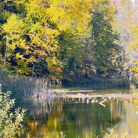 $299,700 | 3025 Lakeshore Drive, Harrisville, MI 48740