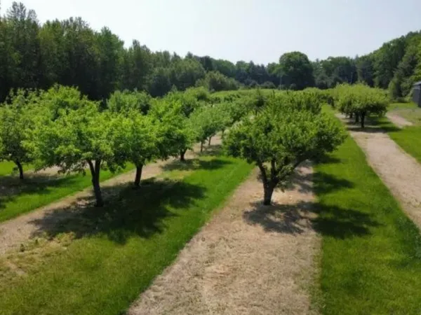 $299,700 | 3025 Lakeshore Drive, Harrisville, MI 48740