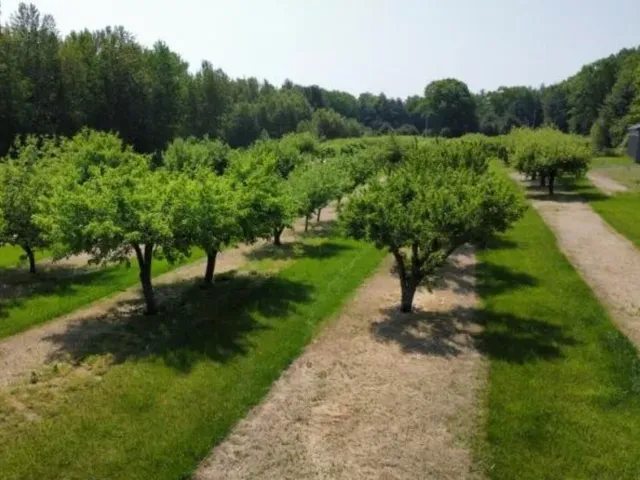 $299,700 | 3025 Lakeshore Drive, Harrisville, MI 48740