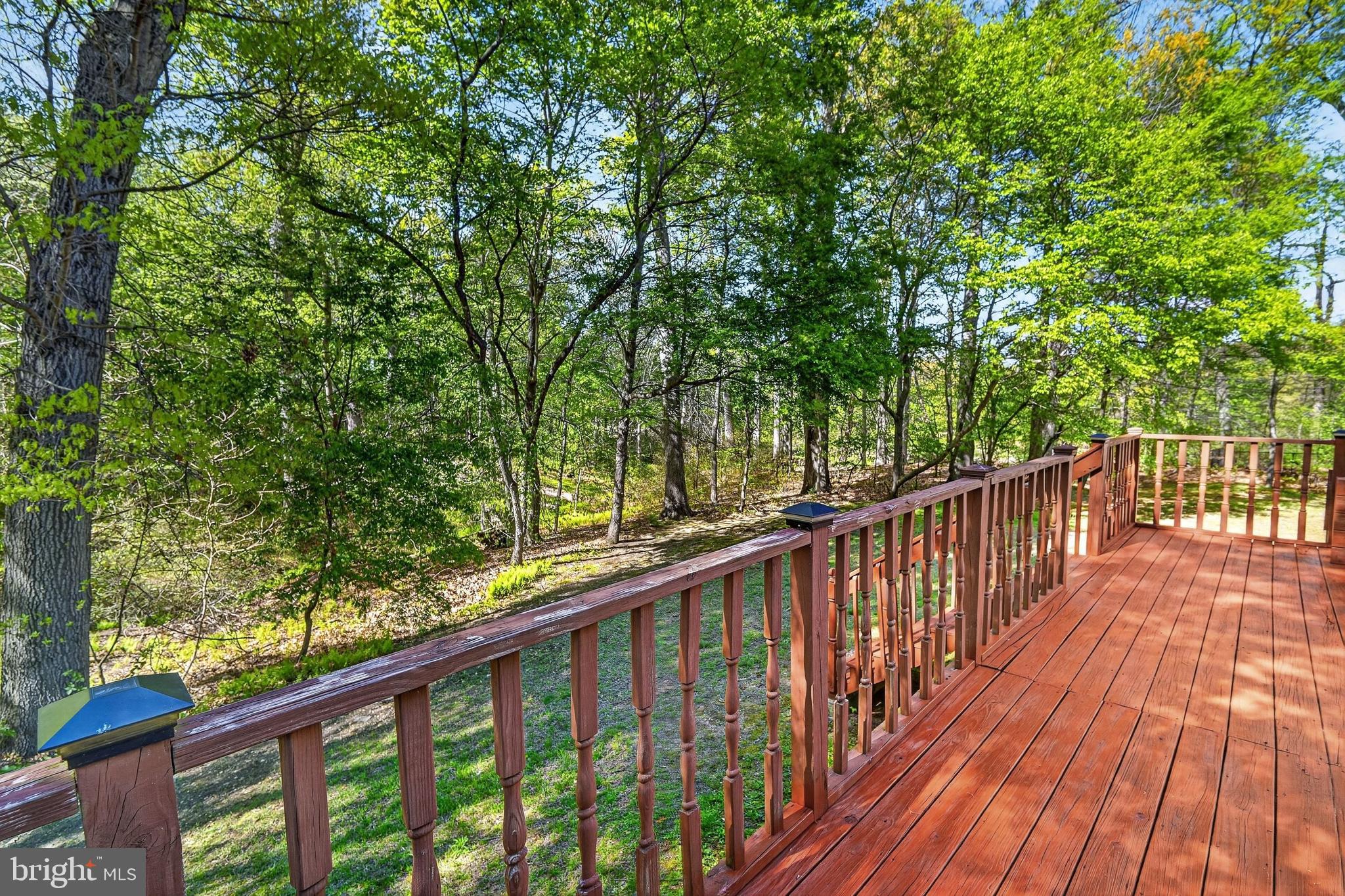 116 Rabbit Hill Road Princeton Junction, NJ 08550 - Photo 77 of 80