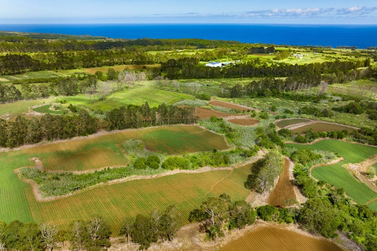 28-583 Kaupakuea Homestead Road Pepeekeo, HI 96783 - Photo 1 of 20 a view of an ocean