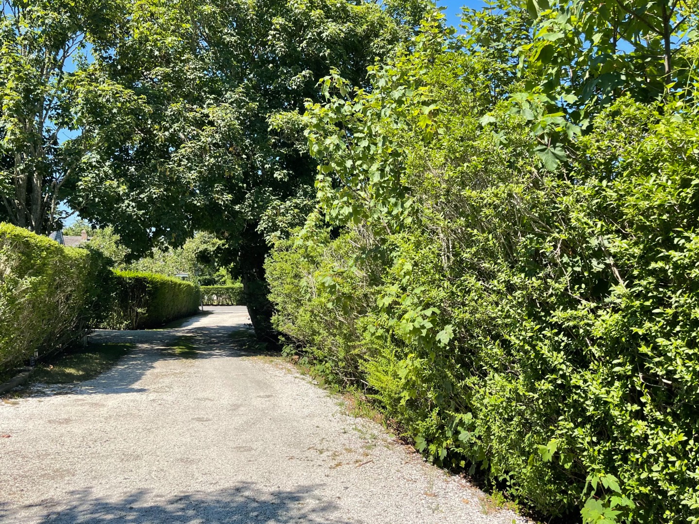 22 King Street Nantucket, MA 02554 - Photo 9 of 43