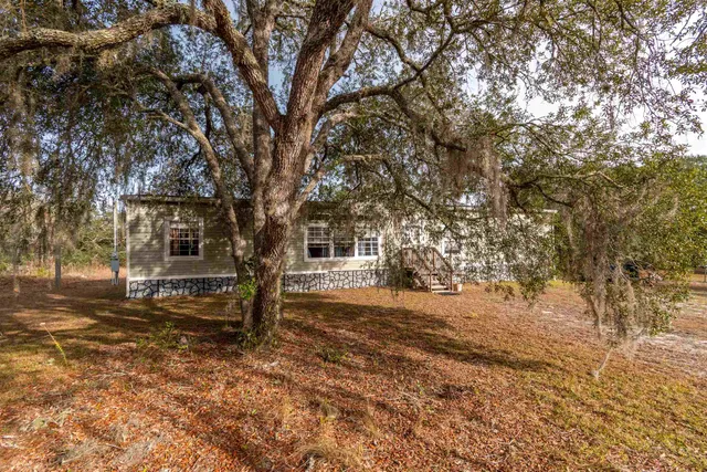 a tree in the middle of a yard