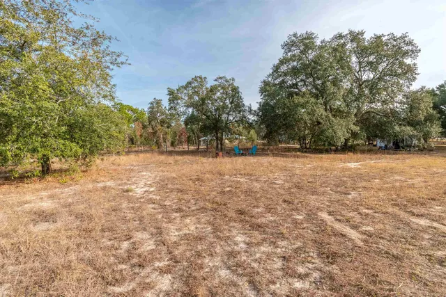 a view of outdoor space with trees all around