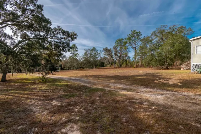 a view of dirt yard with large trees