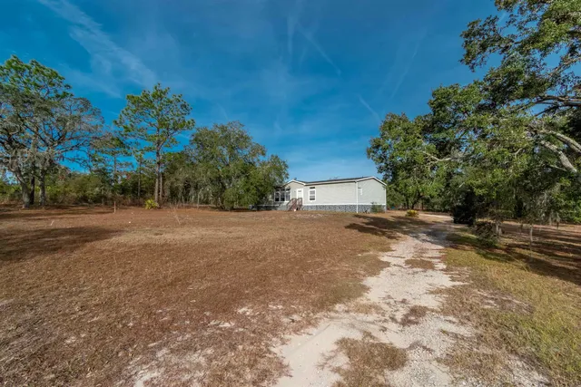 a view of a yard with a tree