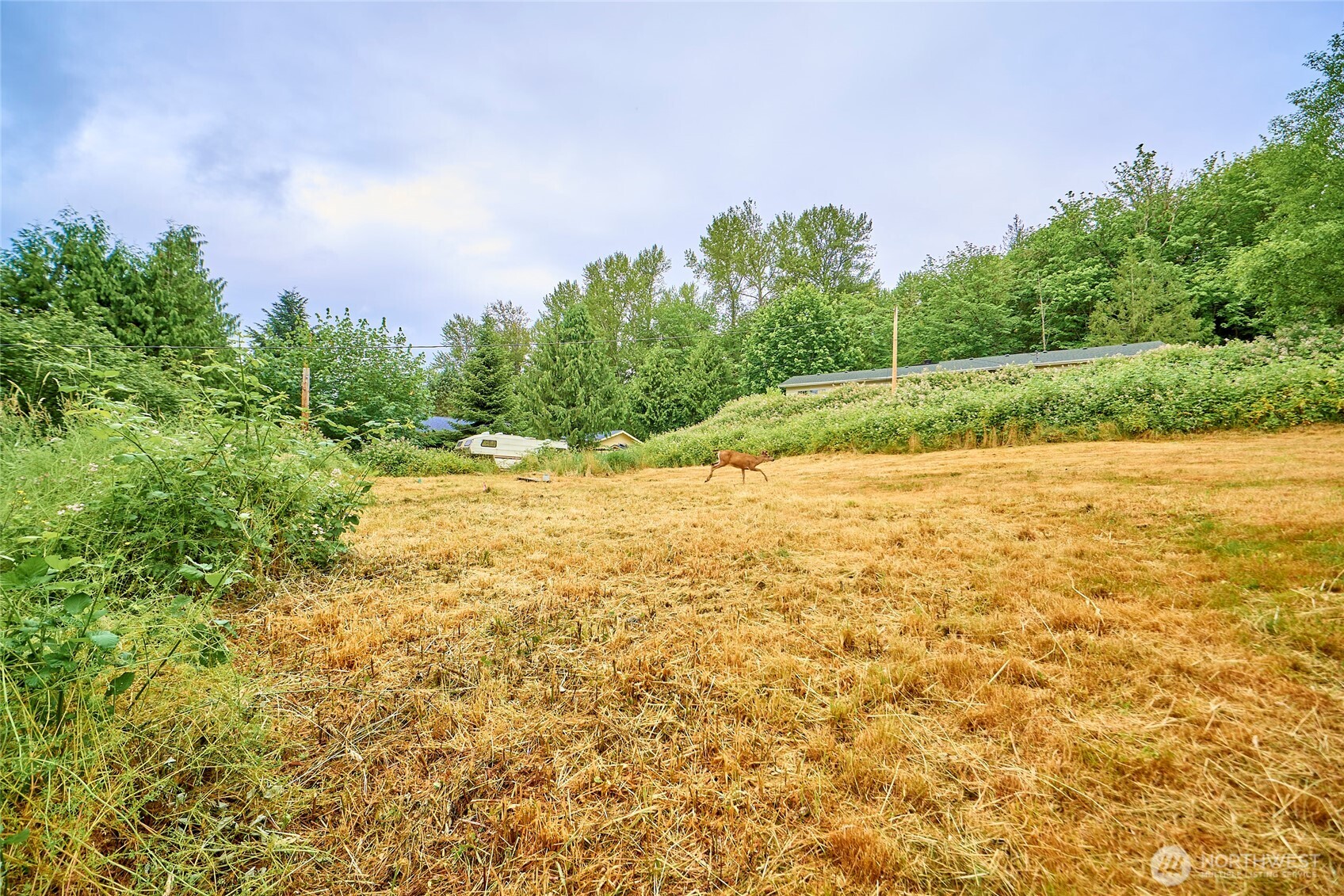 16712 Southeast May Valley Road Renton, WA 98059 - Photo 9 of 10