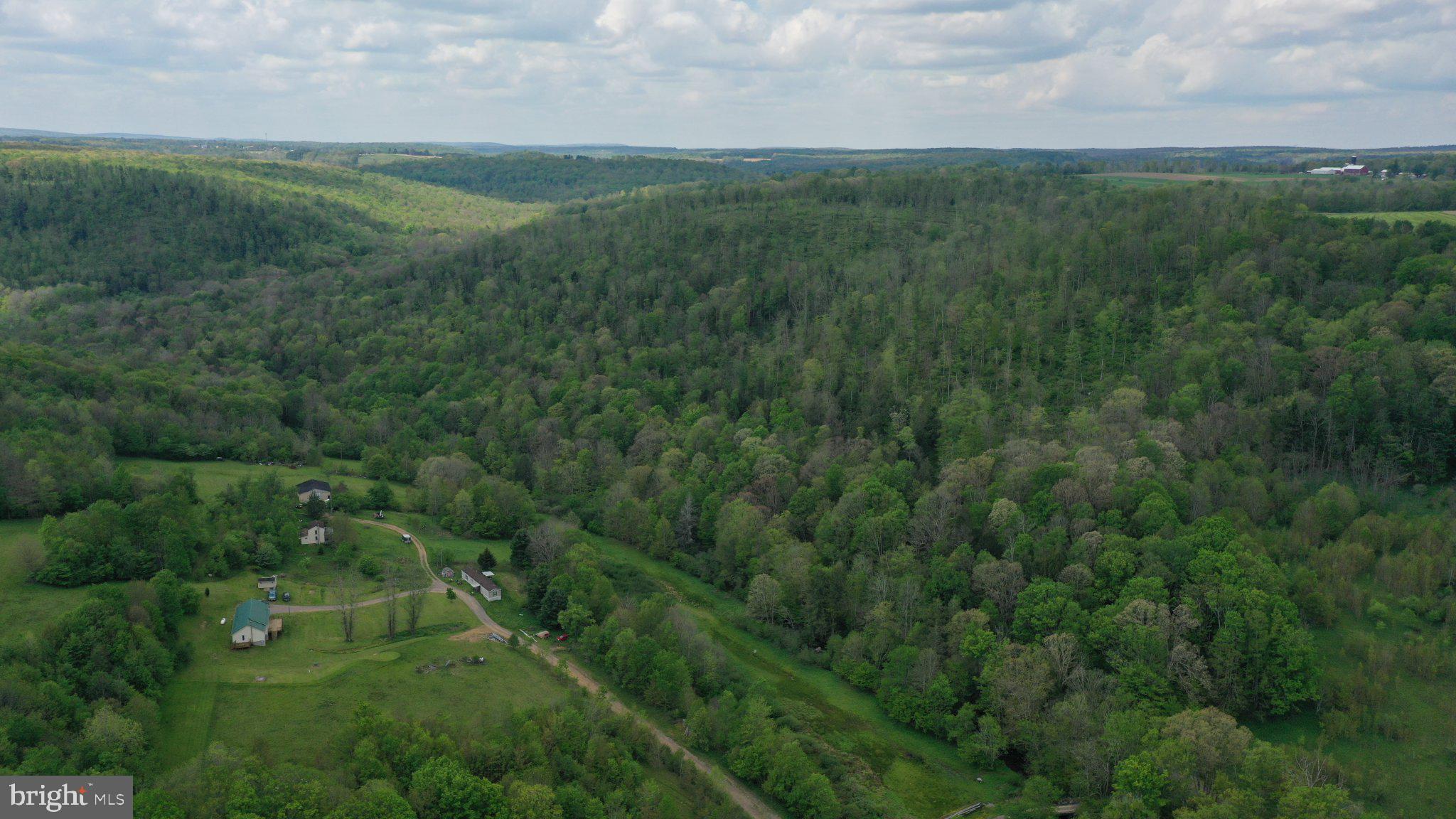99 Wilt Road Grantsville, MD 21536 - Photo 53 of 56 Lush green hills under a cloudy sky.