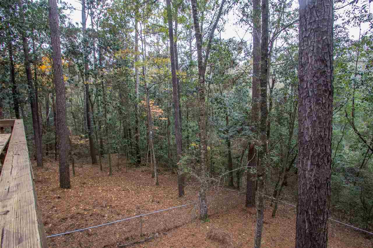 151 Donette Loop Daphne, AL 36526 - Photo 10 of 38