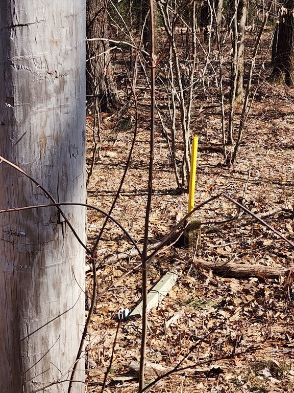 0 Brookfield Road Brimfield, MA 01010 - Photo 5 of 6 a picture of a door