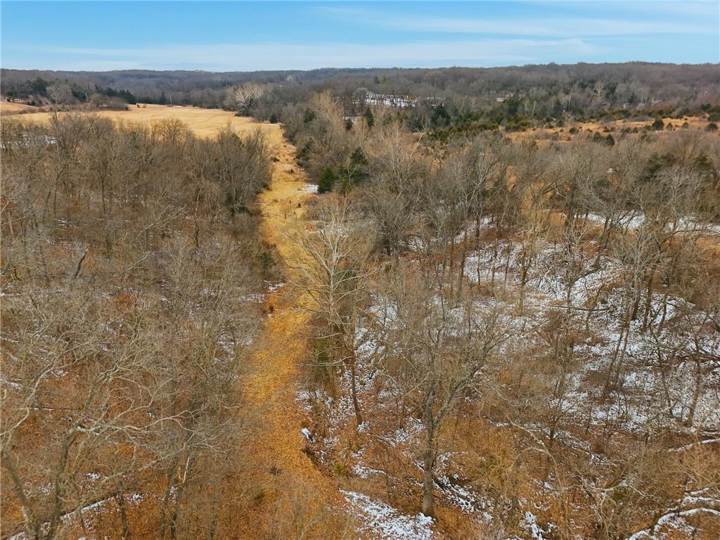 3815 476th Road Osceola, MO 64776 - Photo 41 of 48