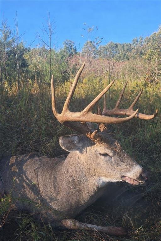 3815 476th Road Osceola, MO 64776 - Photo 48 of 48