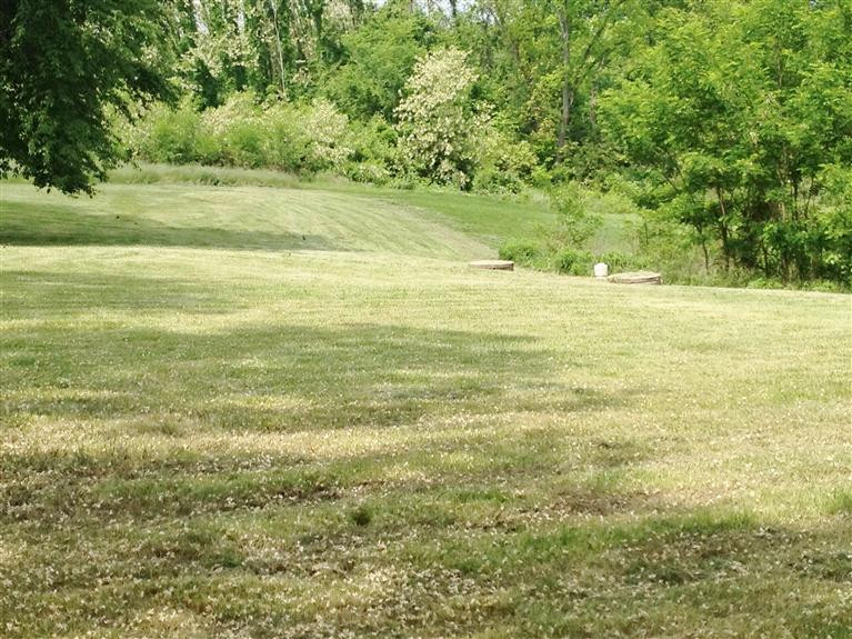 14190 Northcutt Road Walton, KY 41094 - Photo 8 of 28