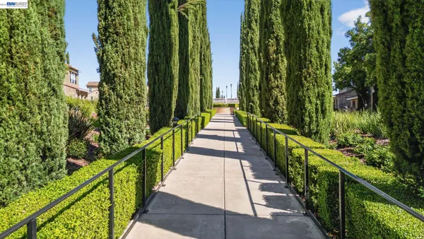 a view of a garden
