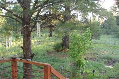 36 North Spitz Spring Road Parks, AZ 86046 - Photo 17 of 18 Additional Photo